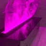 Паровой биокамин Aquaflame 1000 фото 23